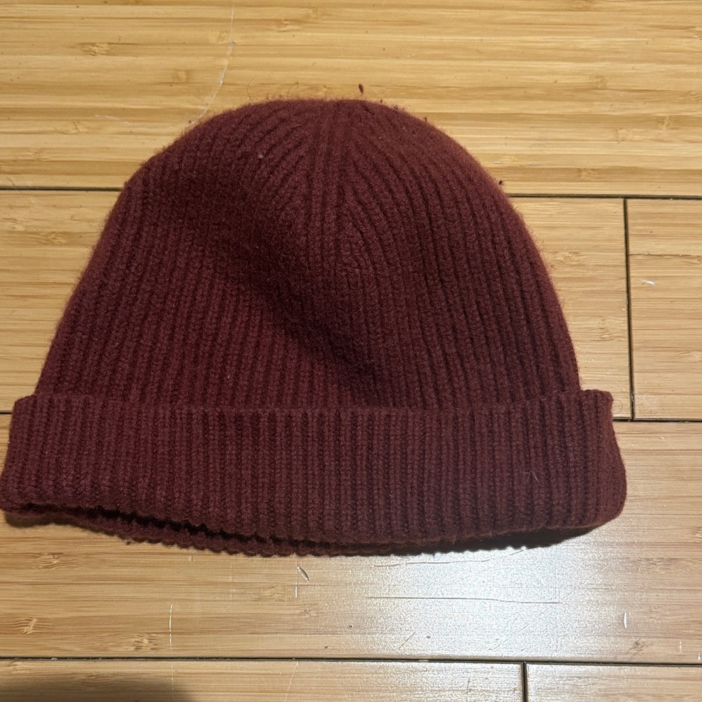J Crew cashmere beanie